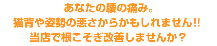 あなたの腰の痛み。猫背や姿勢の悪さからかもしれません！！
当店で根こそぎ改善しませんか？